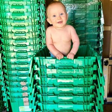 Baby inside an EcoPack Rental moving container. We are eco-friendly by reusing boxes to help move.