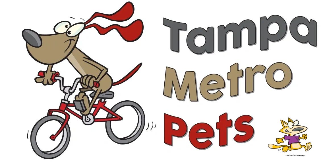 Tampa Metro Pets Dog Cat Chicken Pet Sitting