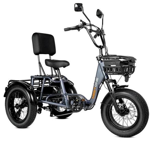 Electric Trike