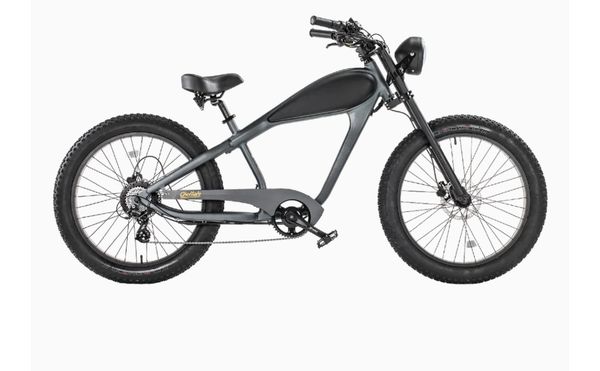 E-Bike, the cheetah