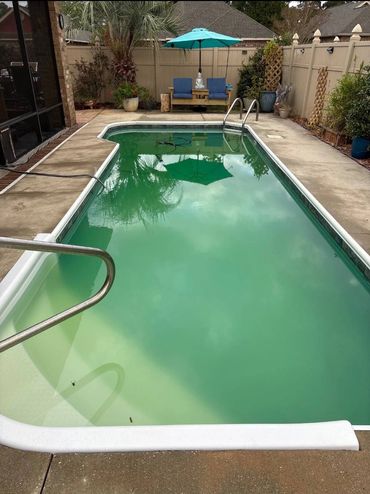 Green residential pool before professional pool cleaning in Pensacola, FL