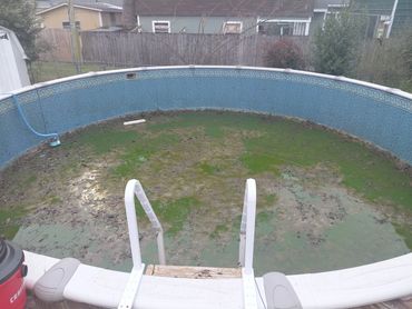 Above-ground pool with algae buildup before liner wash cleanout in Pensacola, FL