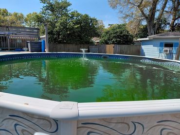 Green above-ground pool with algae before cleaning service in Pensacola, FL