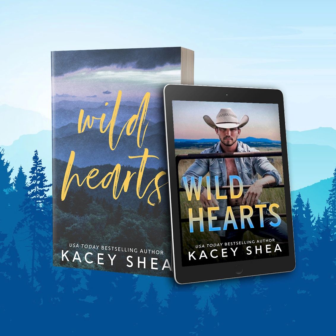 Wild Hearts paperback and ebook 3D rendering