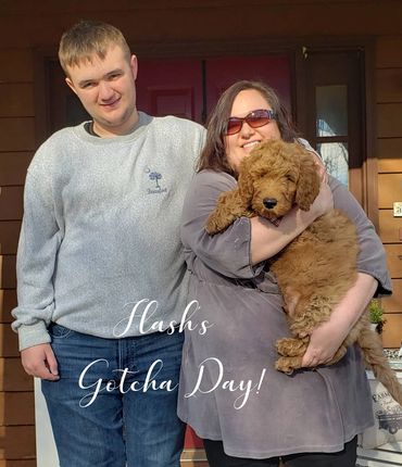 F1b Goldendoodle Puppy