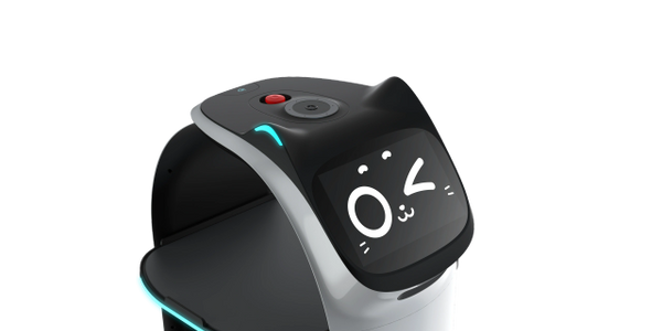 Cat-like delivery robot winking