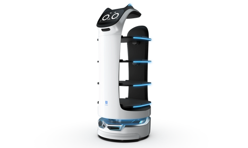 Cat-like delivery robot (BellaBot)