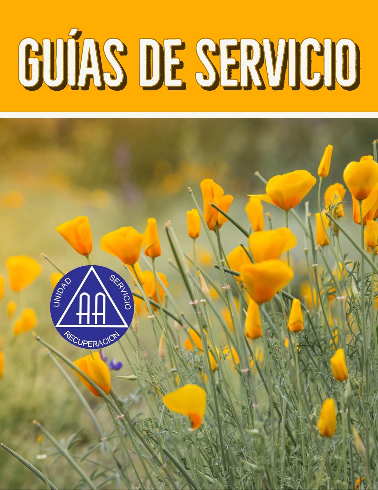 Guías de Servicio de la Oficina de Servicios Generales (OSG) de Alcohólicos Anónimos (AA).