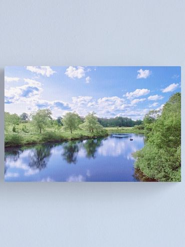 lazy river canvas print