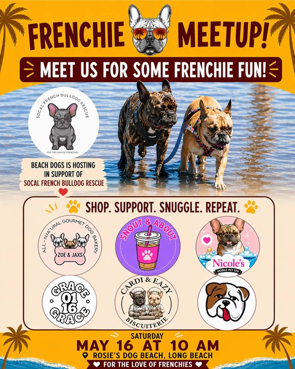 Frenchie Meetup at Rosie's Dog Beach supporting SoCal French Bulldog Rescue.