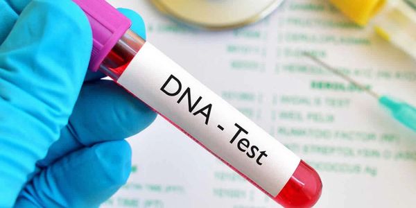 Gloved hand holding a blood sample tube labeled DNA Test.