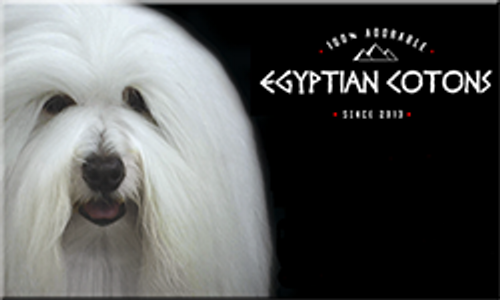 Egyption Cotons