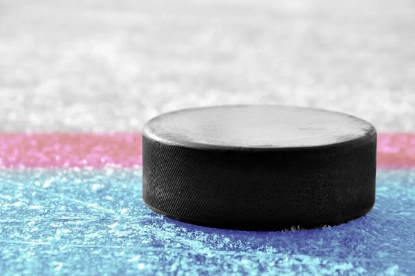 Hockey puck