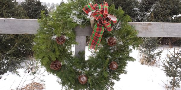 Christmas Wreath
Barclay's Tree Farm Choose and Cut Christmas Trees Cranbury, NJ