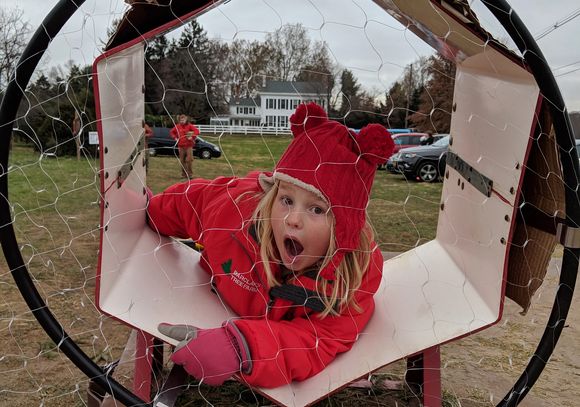 Barclay's Tree Farm has the best prices for the freshest trees.