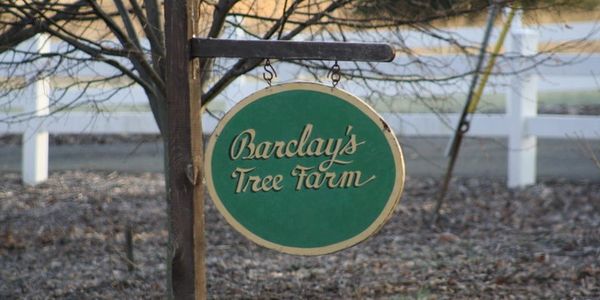 Classic Barclay's Tree Farm Sign
Barclay's Tree Farm Choose and Cut Christmas Trees Cranbury, NJ