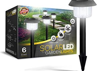 Signature Garden Ultra-Bright 6 