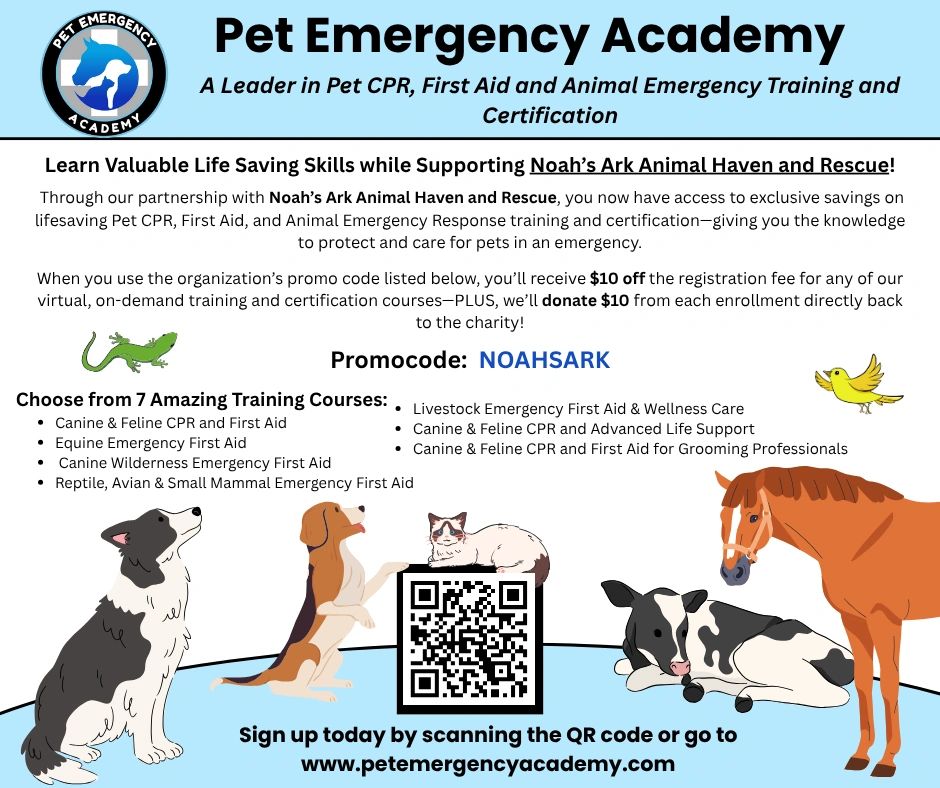 Flyer for Pet Emergency Academy & Noah’s Ark Rescue. Use code NOAHSARK for $10 off pet CPR courses