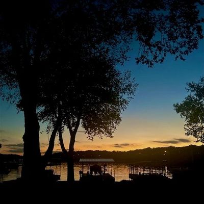 Mary Anne Holstrom photo