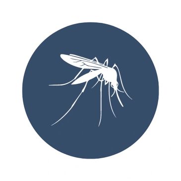 Vector Control and Pest Management Services 