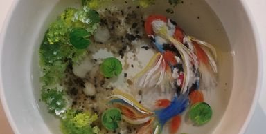 Koi fish in Resin Art