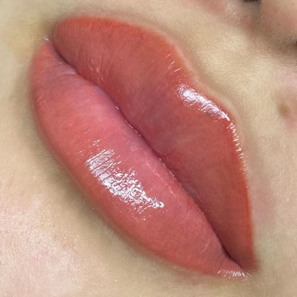 Close-up of glossy, well-moisturized lips.