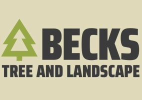 Becks Tree and Landscape