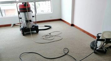 Lavado y fumigado de alfombras