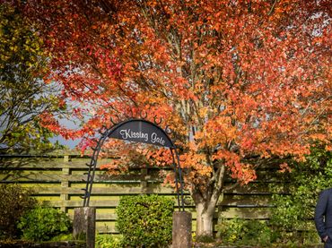 The gardens and grounds of The Mill Forge Hotel near Gretna Green