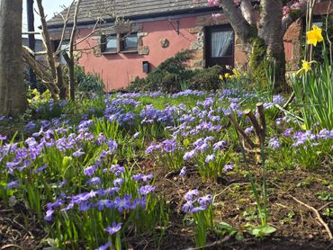 The gardens and grounds of The Mill Forge Hotel near Gretna Green