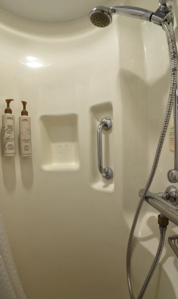 Shampoo, conditioner, Body Wash included. Handheld shower.