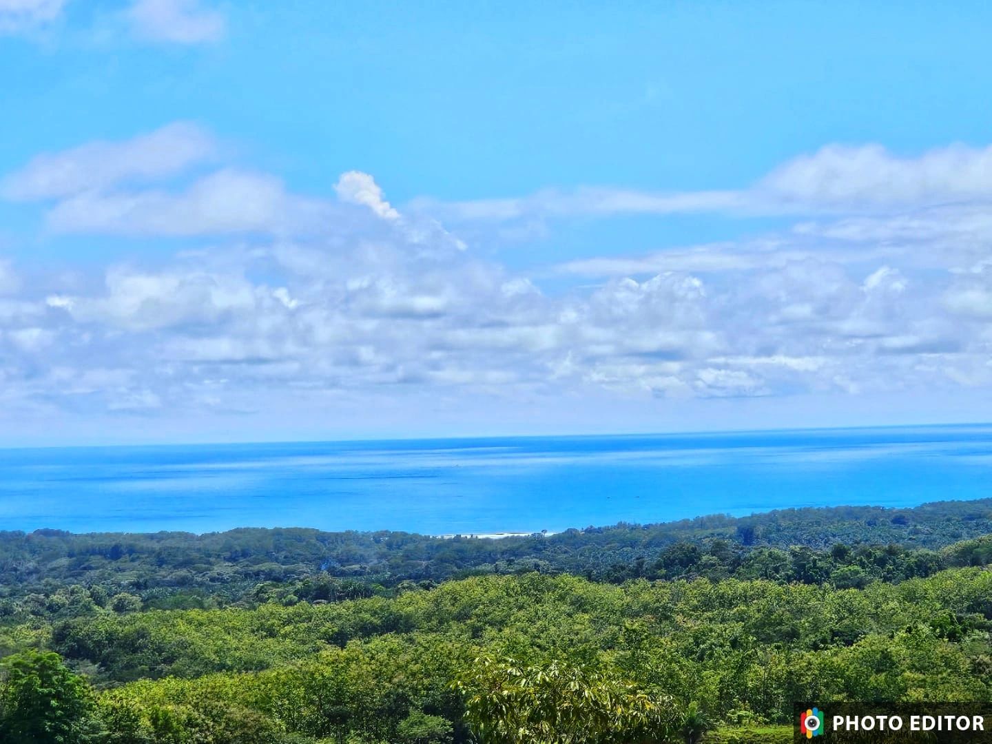 Lush green forest with a calm blue ocean and cloudy sky in the background.