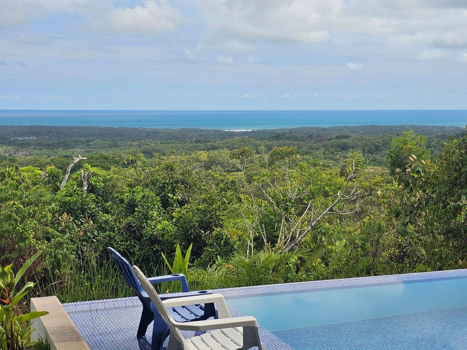 Two chairs by an infinity pool overlooking a lush forest and ocean horizon.