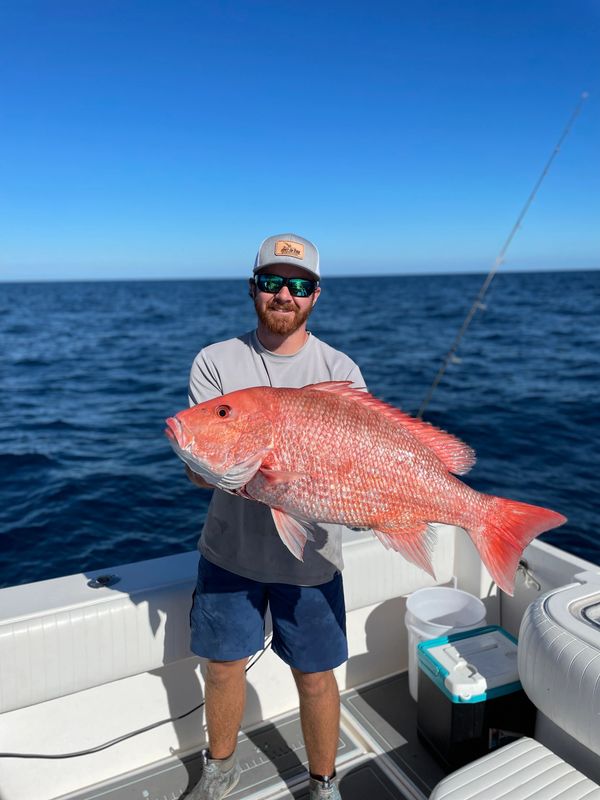 past charters, catch of the day, Just-In-Time SportFishing, jitsportfishing.com