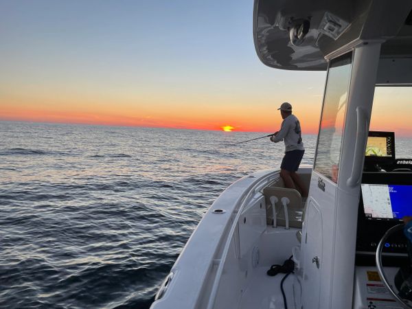 past charters, catch of the day, Just-In-Time SportFishing, jitsportfishing.com