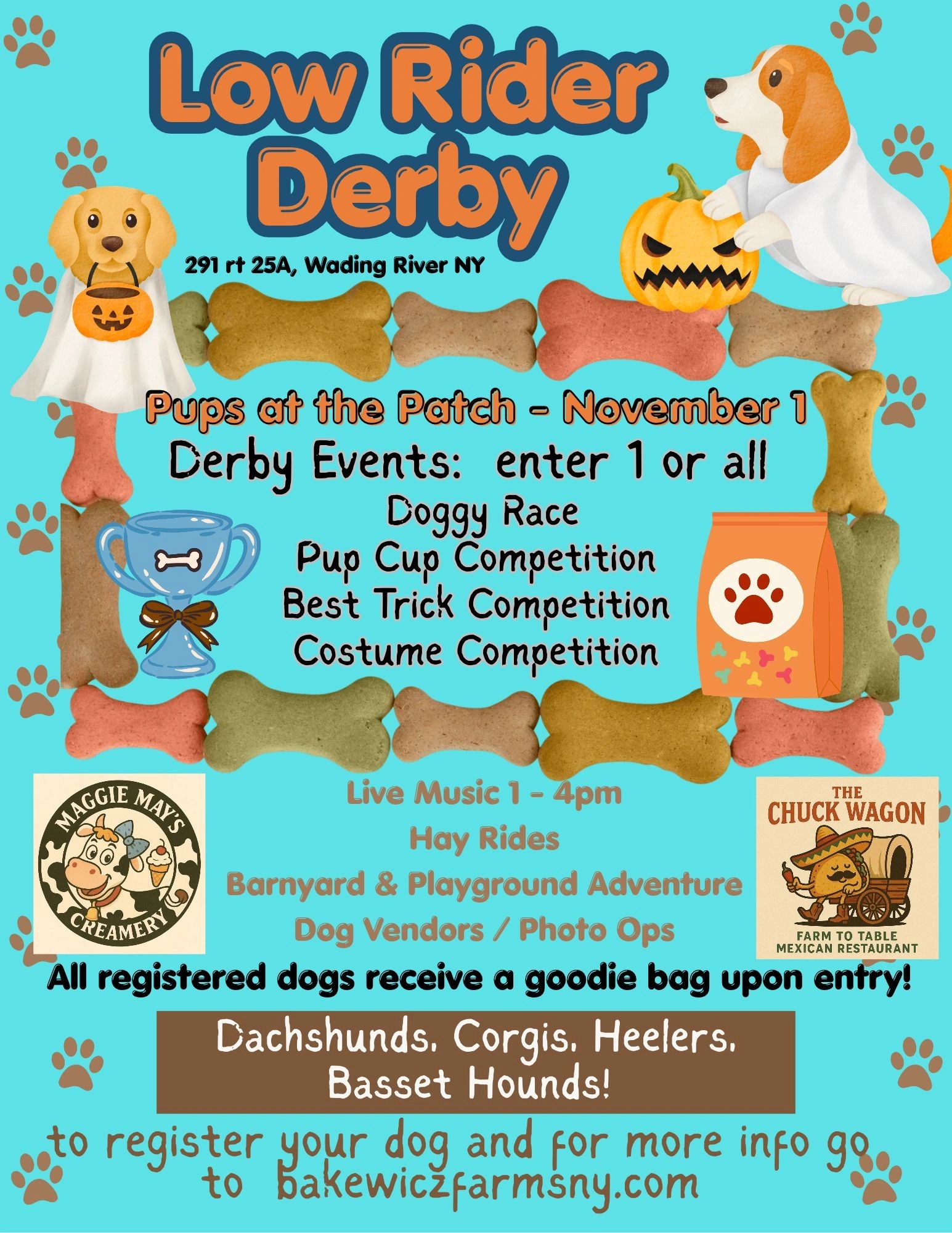 Halloween-themed dog event with races and competitions at Wading River, NY.