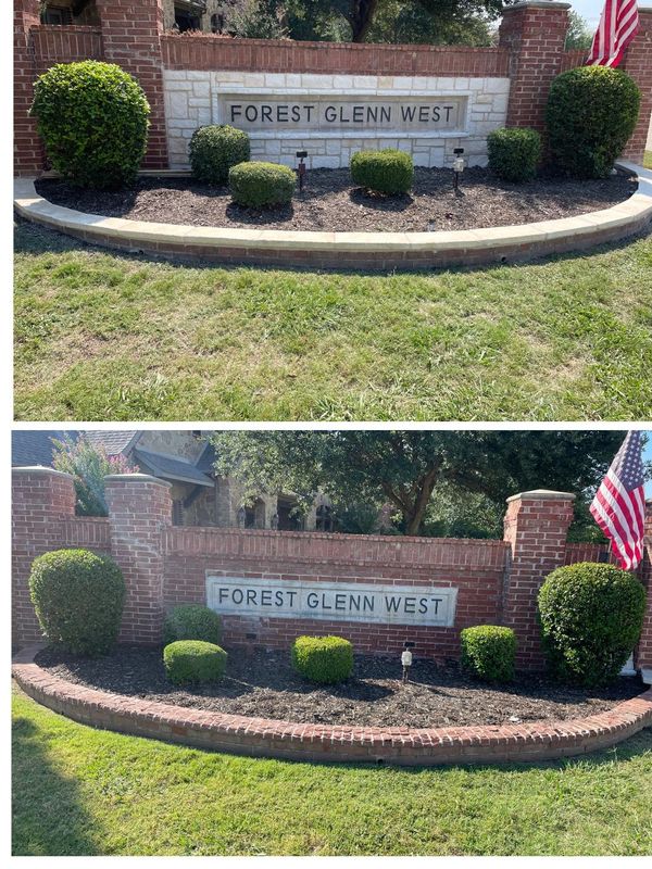 Before and After
