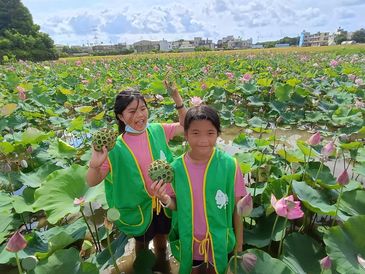 戶外教學、寒暑假營隊