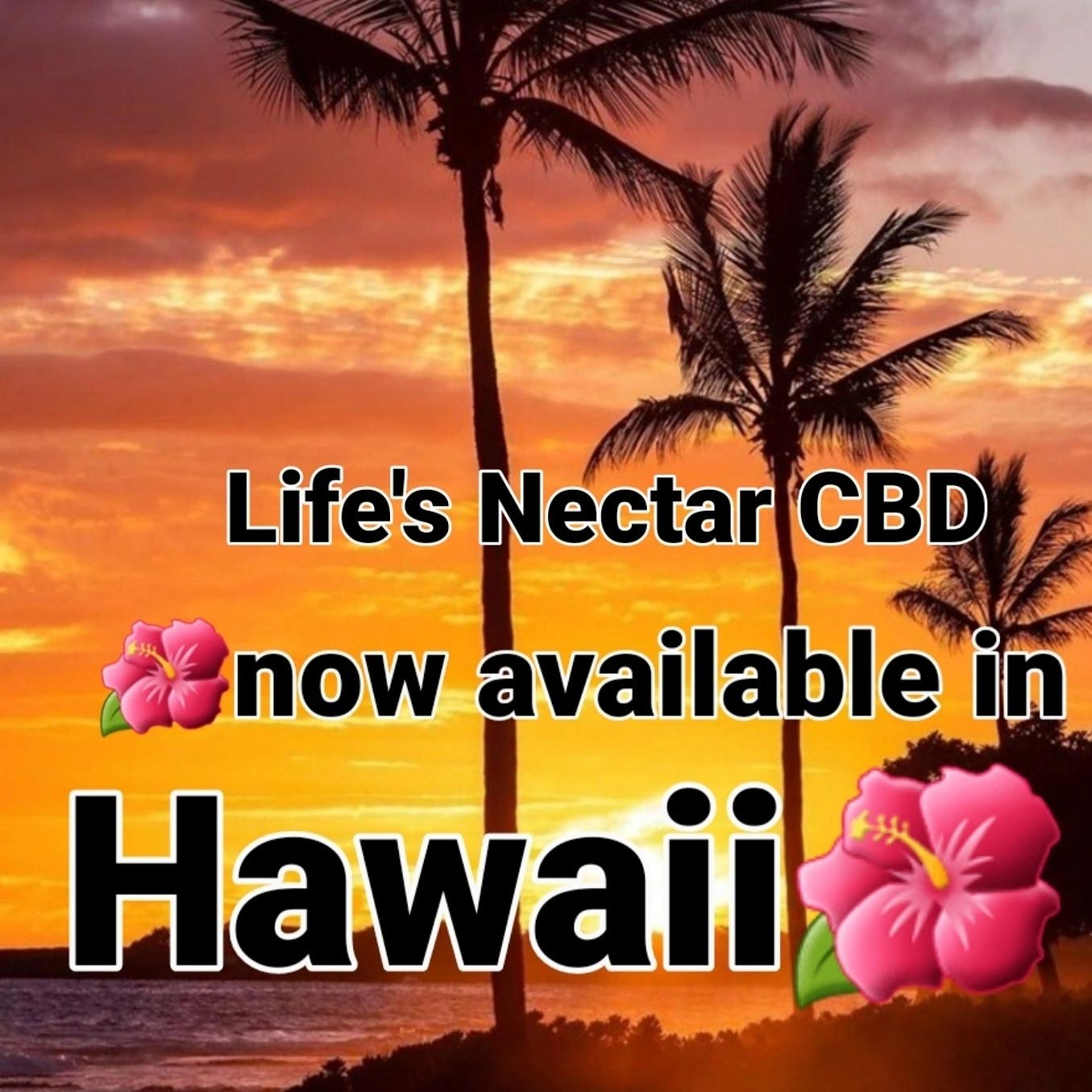 Life's Nectar CBD Now Available on the big island of Hawaii 