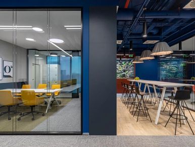 blue, yellow and orange colour and biophilia workspace for high productivity and employee wellbeing