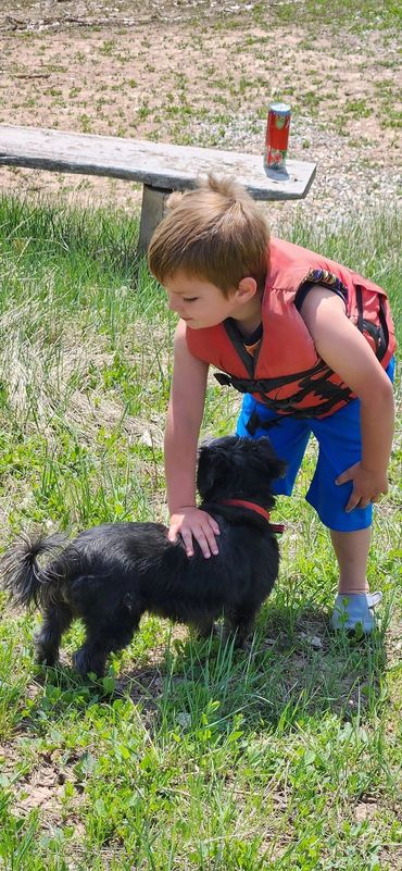 A boy in a life vest pets a small black dog outdoors on grass.
