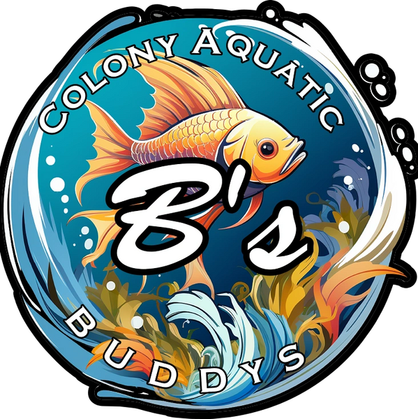 Logo, Freshwater aquarium fish!