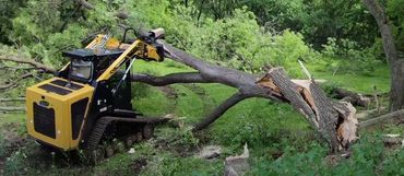 The Beak skid steer attachment carrying large storm damaged trees