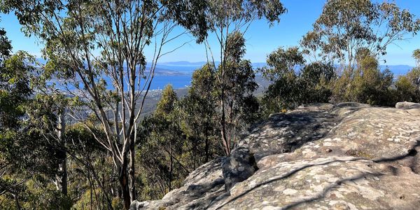 Flat rocky outcrop surrounded by tree canopy, overlooking Hobart and the Derwent River