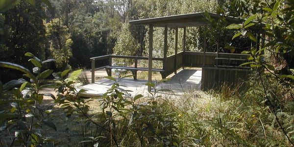Picnic shelter within the trees