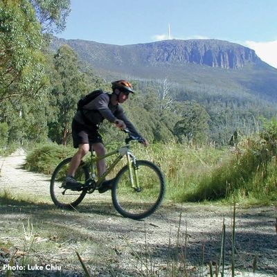 Mountain biker riding along a lower fire trail with kunanyi/Mt Wellington in the background