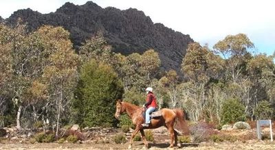 A person on a brown horse with a rocky mountain rise behind them