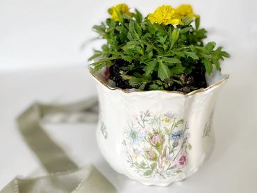 Vintage porcelain cachepot holding a flowering plant as a table centerpiece
