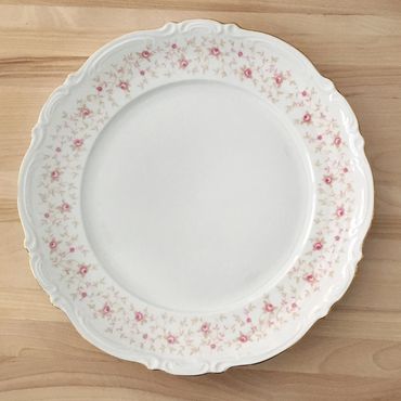 vintage Mitterteich dinner plate pattern