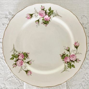vintage Canonsburg dinner plate